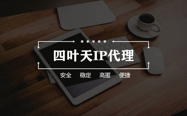 【许昌代理IP】如何快速搭建代理IP？怎么检查代理的效果？